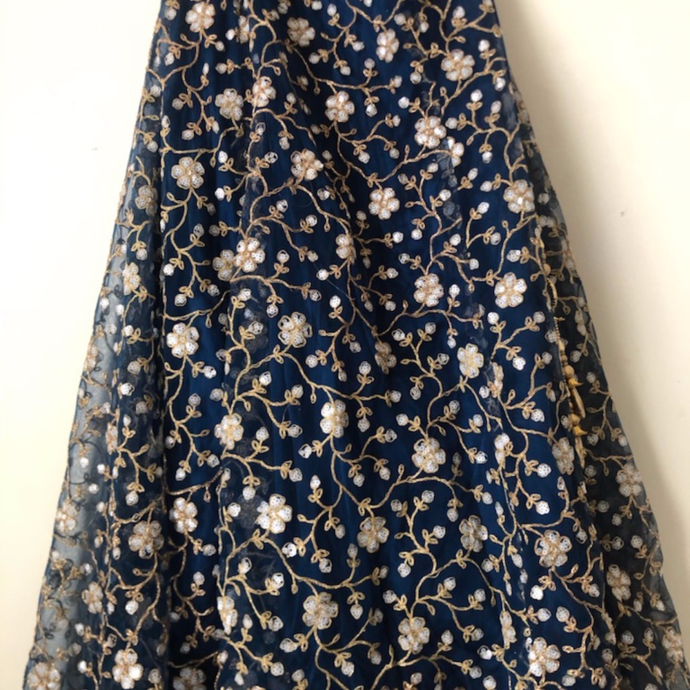 Stunning 3 Piece Lengha - Picture 2 of 7